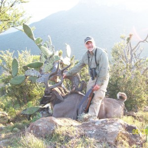 kudu