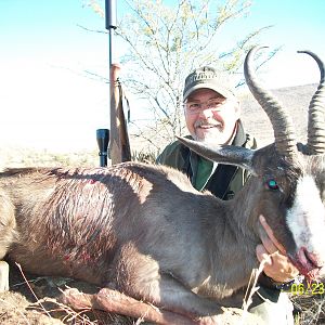 black springbok