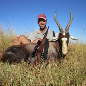 Blesbok