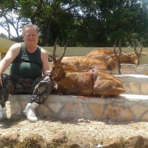 Hunting Uganda Nile Bushbuck