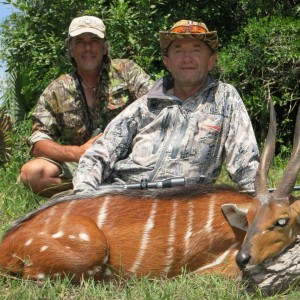 Hunting Uganda Nile Bushbuck