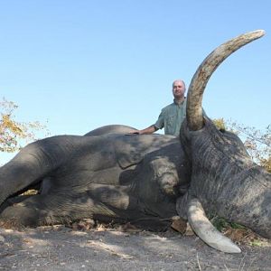 Elephant Namibia