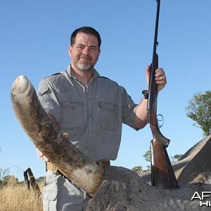 Elephant Namibia