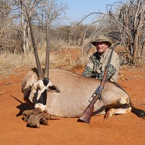 Gemsbok, Motsomi Safaris 7/13