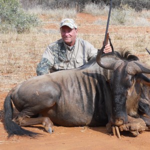 Blue Wildebeest, motsomi safaris, 7/13