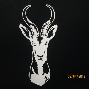 Springbok Decal Stickers