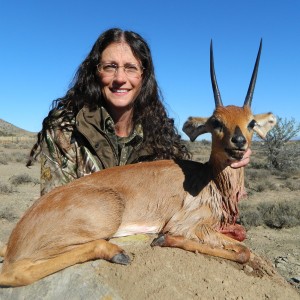 Steenbok