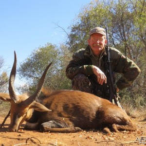 A good Bushbuck from Bos en Dal