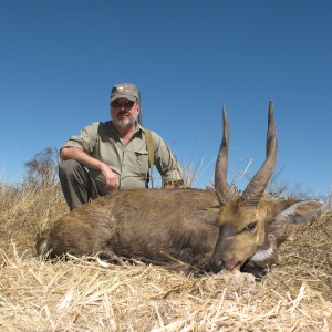 Bushbuck