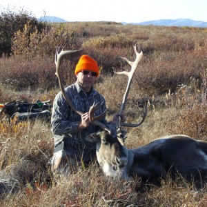 Adak, AK -Caribou