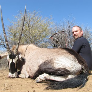 Gemsbok