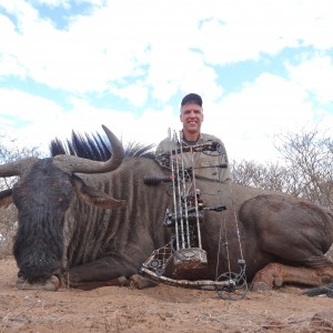 Blue Wildebeest Botswana 2013