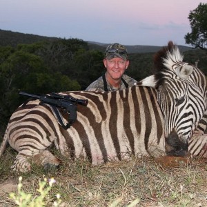 Zebra in the Eastern Cape