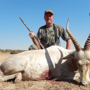 16-3/4'' white blesbok karoo s.a.