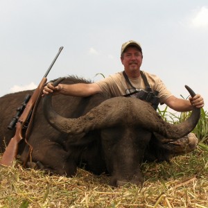 41'' mozambique cape buffalo