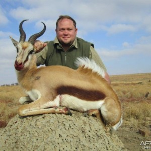 Springbok