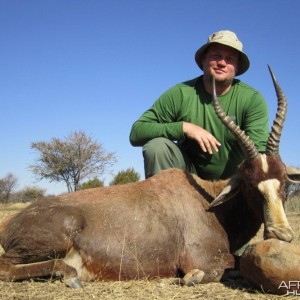 Blesbok