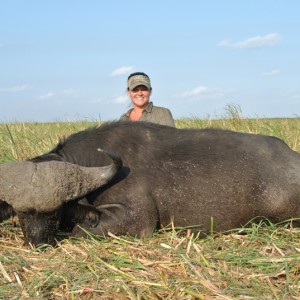 Buffalo Mozambique