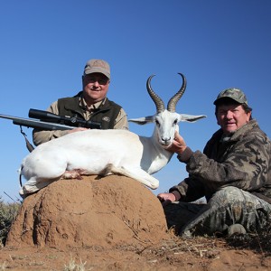 White Springbok hunt with Wintershoek Johnny Vivier Safaris