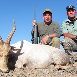 White Blesbok hunt with Wintershoek Johnny Vivier Safaris