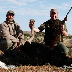 Ostrich hunt with Wintershoek Johnny Vivier Safaris