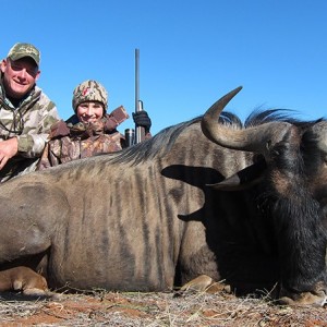 Blue Wildebeest hunt with Wintershoek Johnny Vivier Safaris