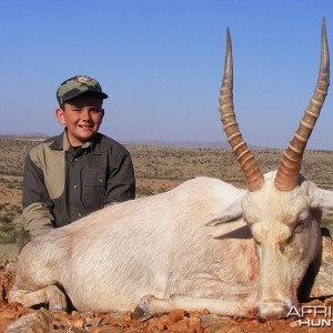 White Blesbok hunt with Wintershoek Johnny Vivier Safaris