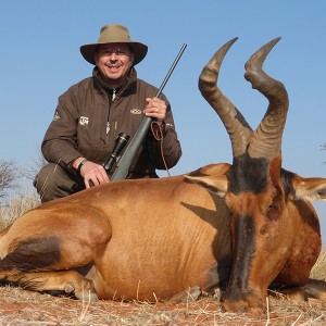 Hartebeest hunt with Wintershoek Johnny Vivier Safaris