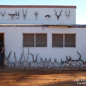 Trophies with Wintershoek Johnny Vivier Safaris