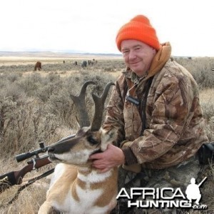 Pronghorn antelope