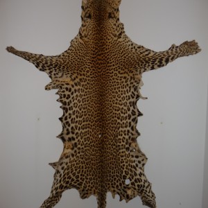 Leopard skin