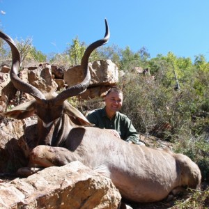 Kudu bull