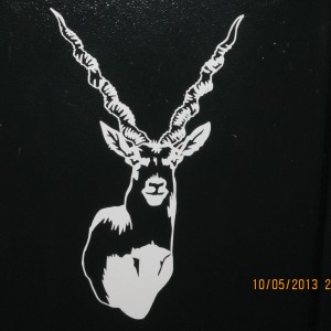 Black Buck Decal Stickers