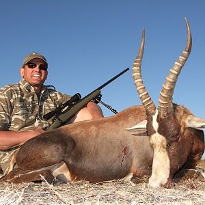 17 3/8" Common Blesbok