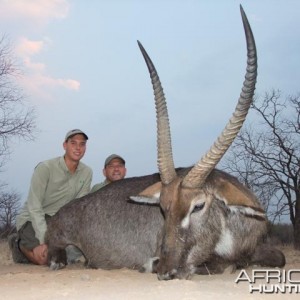 Waterbuck