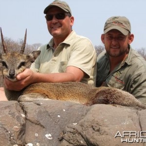 Klipspringer