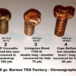 Barnes TSX Recovered Performance Report