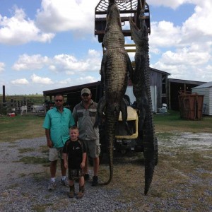 Alligator hunts in Louisiana