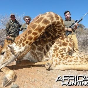 Giraffe hunt with Wintershoek Johnny Vivier Safaris