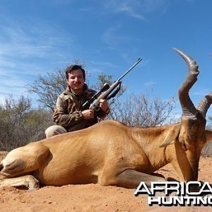 Red Hartebeest hunt with Wintershoek Johnny Vivier Safaris