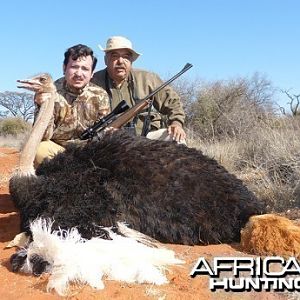 Ostrich hunt with Wintershoek Johnny Vivier Safaris