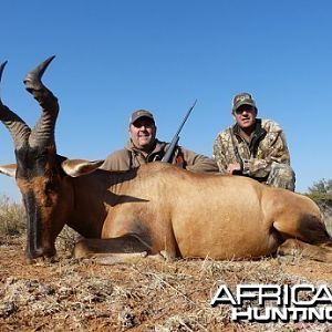 Red Hartebeest hunt with Wintershoek Johnny Vivier Safaris