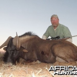 Black Wildebeest hunt with Wintershoek Johnny Vivier Safaris