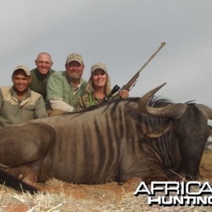 Blue Wildebeest hunt with Wintershoek Johnny Vivier Safaris