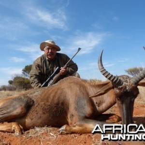 Tsessebe hunt with Wintershoek Johnny Vivier Safaris