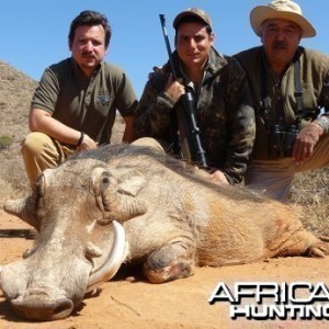 Warthog hunt with Wintershoek Johnny Vivier Safaris