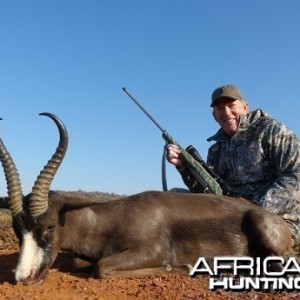 Black Springbok hunt with Wintershoek Johnny Vivier Safaris