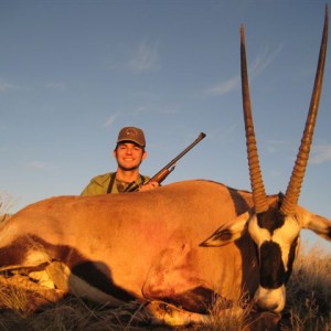 Gemsbok