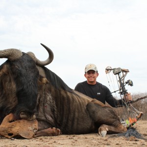 Blue Wildebeest SCI Gold 80 3/8 Bow