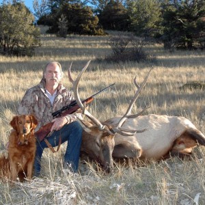 My 2013 Bull Elk and my .300 Weatherby